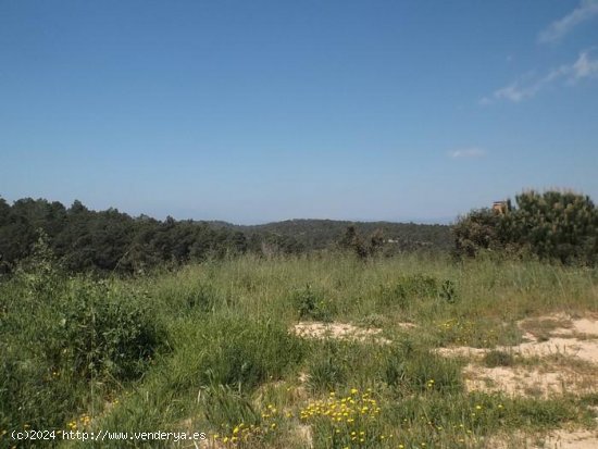 Suelo urbano en venta  en Maçanet de La Selva - Girona