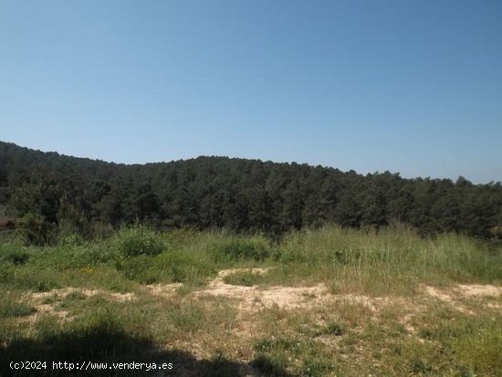 Suelo urbano en venta  en Maçanet de La Selva - Girona