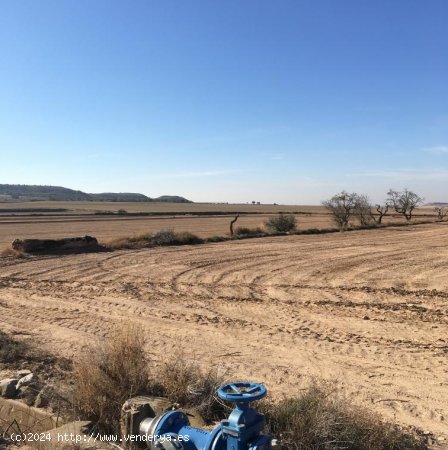  Suelo rústico en venta  en Vilagrassa - Lleida 