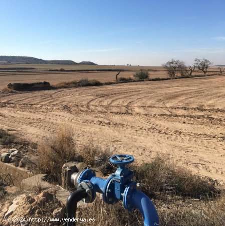 Suelo rústico en venta  en Vilagrassa - Lleida