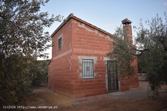  Suelo rústico en venta  en Freginals - Tarragona 