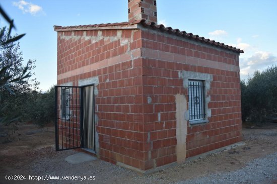 Suelo rústico en venta  en Freginals - Tarragona