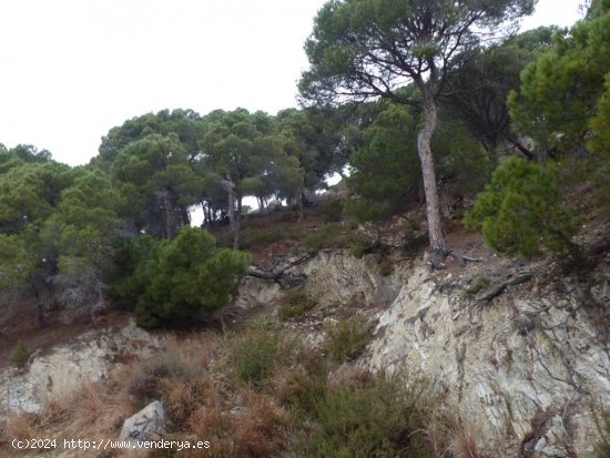 Suelo urbano en venta  en Cabrils - Barcelona