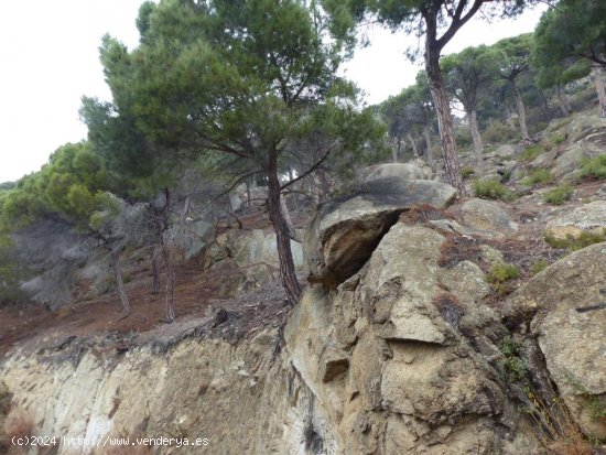 Suelo urbano en venta  en Cabrils - Barcelona