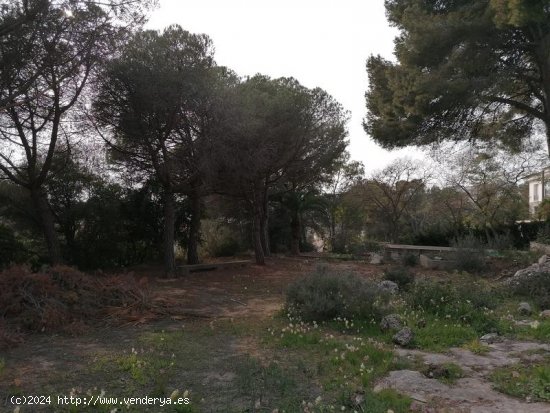 Suelo urbano en venta  en Segur de Calafell - Tarragona