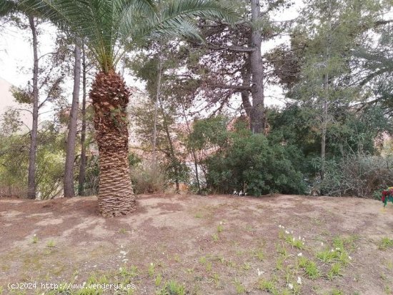 Suelo urbano en venta  en Segur de Calafell - Tarragona