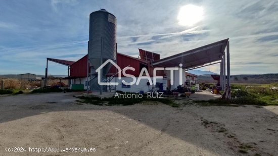 Granja con terreno de unos 20.000 m² y posibilidad de concesión de 200 ha de pastos. Zona Donadio.