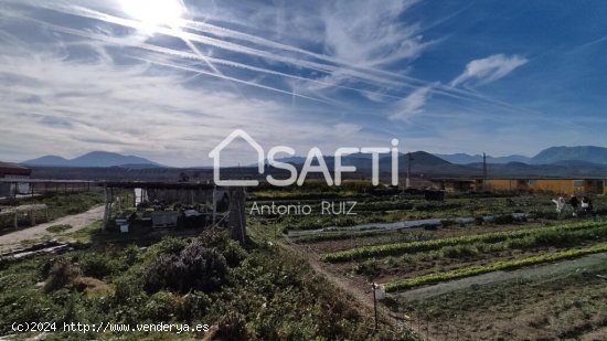 Granja con terreno de unos 20.000 m² y posibilidad de concesión de 200 ha de pastos. Zona Donadio.