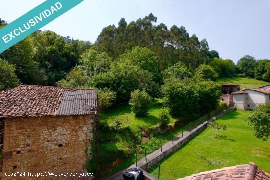 Tu refugio en la naturaleza asturiana: un lugar para crear tu hogar en paz y armonía.