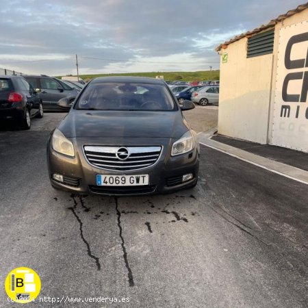 OPEL Insignia en venta en Miengo (Cantabria) - Miengo