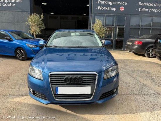 AUDI A3 en venta en CalviÃ  (Islas Baleares) - CalviÃ 