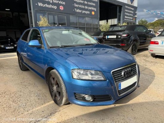 AUDI A3 en venta en CalviÃ  (Islas Baleares) - CalviÃ 