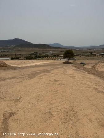 Parcela con excelentes vistas en Jumilla - MURCIA