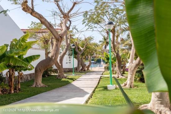 Espectacular Bungalow en el Campo Internacional de Maspalomas - LAS PALMAS