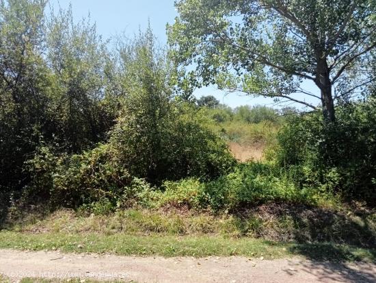  SE VENDE PARCELA RUSTICA DE 5.480 M2 EN SAN ANDRES - LEON 