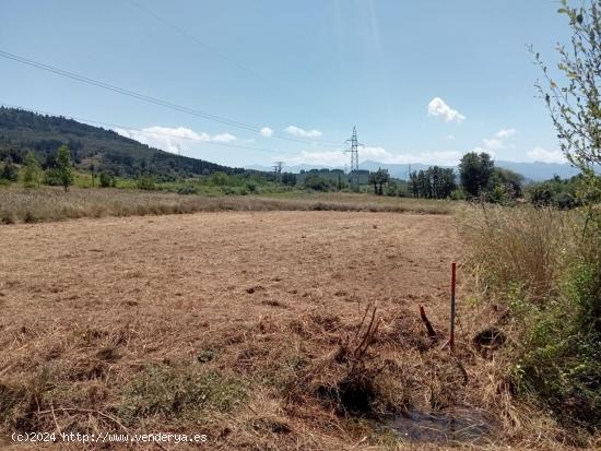 SE VENDE PARCELA RÚSTICA EN SAN ANDRÉS DE 1.520 M2 - LEON