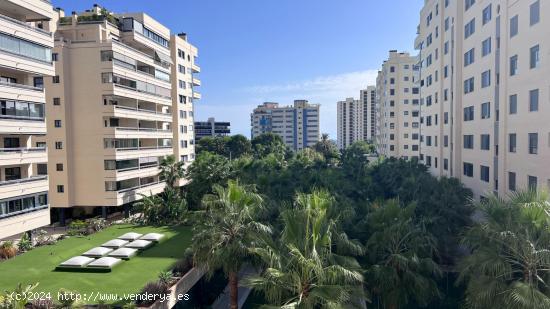 Oasis de lujo en Pau 5 - ALICANTE