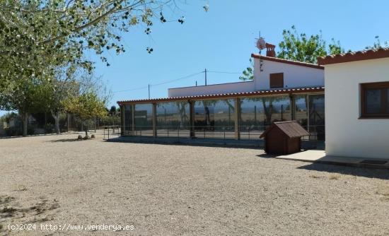 CASA RURAL CON TIERRA DE CULTIVO DE ARROZ EN DELTEBRE - TARRAGONA