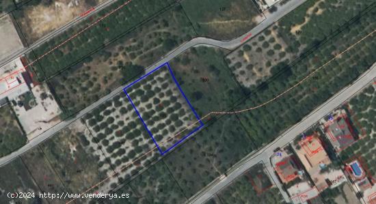 PARCELA URBANA EN VENTA EN MONTEAGUDO - MURCIA