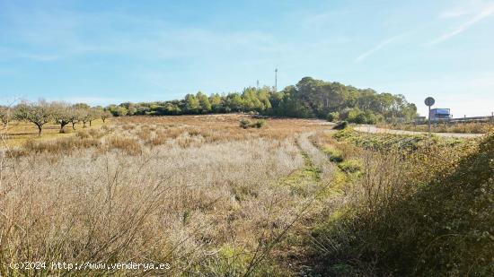 Terreno agrícola en Sant Joan, Mallorca - BALEARES