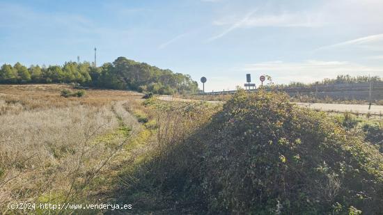 Terreno agrícola en Sant Joan, Mallorca - BALEARES