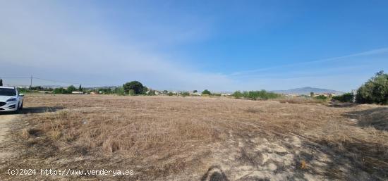 ++Terreno Rústico en Molina de Segura zona El Llano de Molina, 8326 m - MURCIA