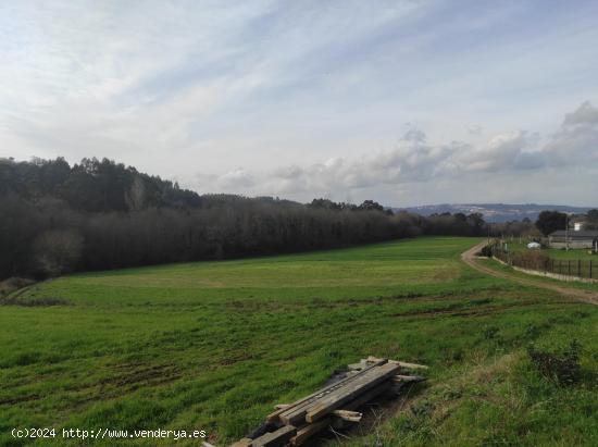 SE VENDE FINCA FORESTAL - A CORUÑA