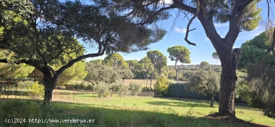 ¡Se Vende Encantador Chalet en Amplia Parcela! - BADAJOZ