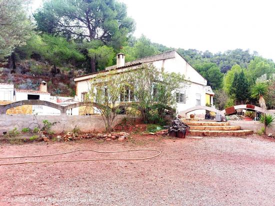  Chalet en la Sierra Calderona con muy buenas vistas. - VALENCIA 