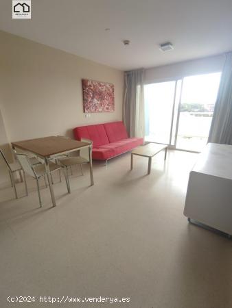 APIHOUSE VENDE APARTAMENTO EN GUARDAMAR DEL SEGURA. PRECIO 74.000€ - ALICANTE