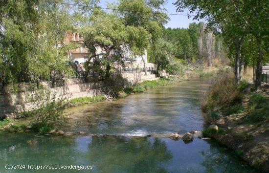 LOTE de Parcelas rústicas en venta en La Recueja, Albacete - ALBACETE