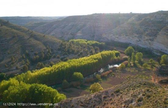 LOTE de Parcelas rústicas en venta en La Recueja, Albacete - ALBACETE