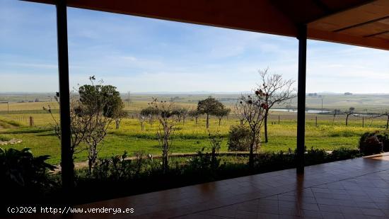 Gran casa con 6 Hectáreas de terreno - CACERES