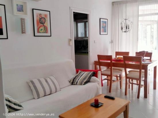 Coqueto APARTAMENTO en PAGUERA - BALEARES