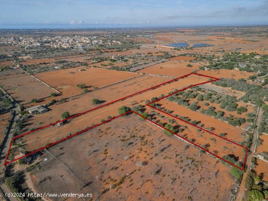  Dos solares con licencia en las afueras de Santanyí - BALEARES 