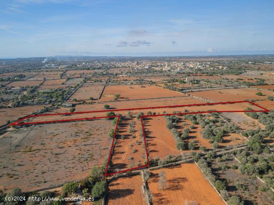 Dos solares con licencia en las afueras de Santanyí - BALEARES