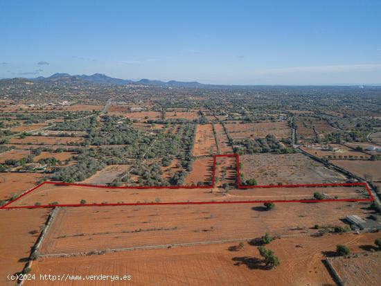 Dos solares con licencia en las afueras de Santanyí - BALEARES