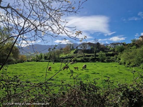 EN VENTA FINCA URBANA DE 2600 M2 EN EL VALLE DE MENA - BURGOS