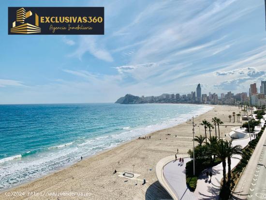  Apartamento de 2 hab para alquilar todo el año en 1º linea de playa en Benidorm. Exclusivas360 - A 