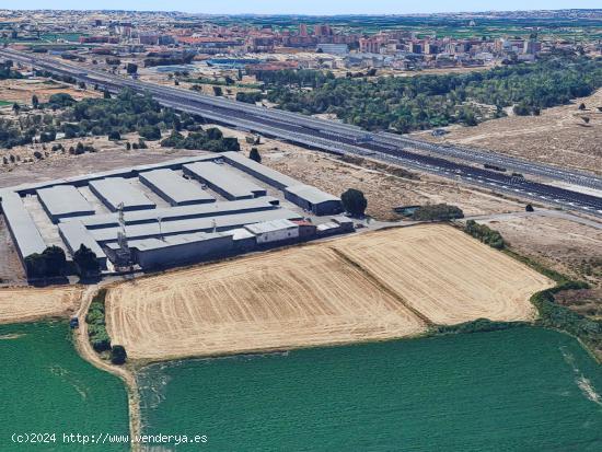 TERRENO RÚSTICO EN ZONA GOULLADA / ROSEQUE - ZARAGOZA - ZARAGOZA