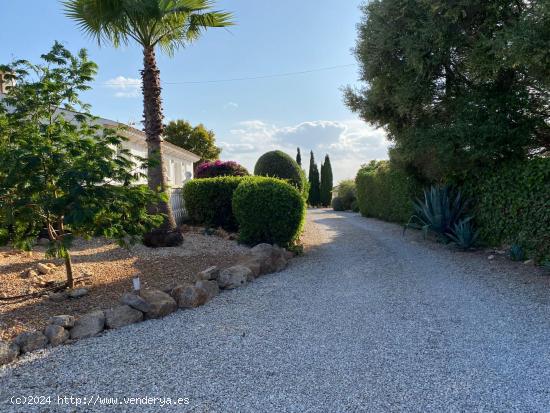 Fantástica Finca Rustica Llucmajor - BALEARES