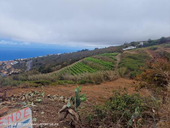  Finca de Cultivo para Viña de Secano u otros cultivos - SANTA CRUZ DE TENERIFE 