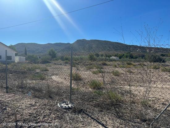  PARCELA EN CAMPO DE LORCA - MURCIA 