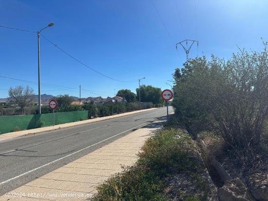 PARCELA EN CAMPO DE LORCA - MURCIA