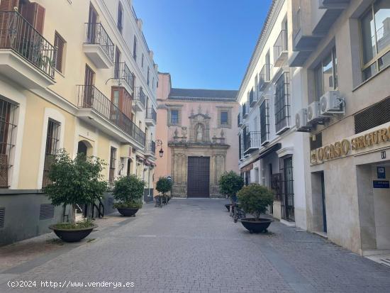  AMPLIA VIVIENDA EN EL CENTRO!!! - CADIZ 