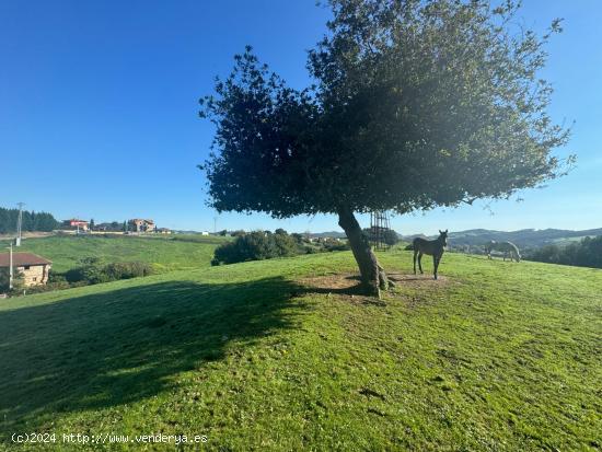 VENTA DE SOLAR PARA PROMOCIÓN DE VIVIENDAS - CANTABRIA