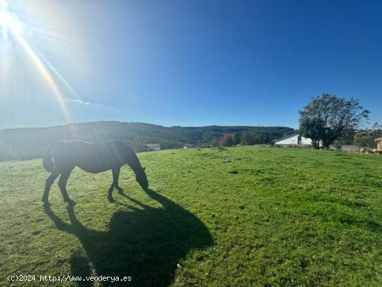 VENTA DE SOLAR PARA PROMOCIÓN DE VIVIENDAS - CANTABRIA