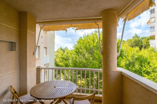 APARTAMENTO DE 1 DORMITORIOS EN DEHESA DE CAMPO AMOR ( ORIHUELA COSTA) ALICANTE - ALICANTE