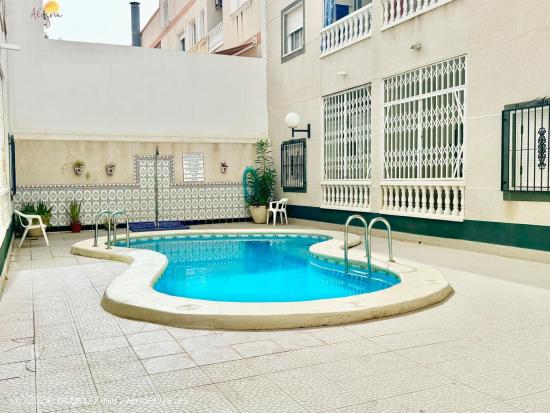  APARTAMENTO DE 2 DORMITORIOS 1 BAÑO EN TORREVIEJA ( PLAYA LOS LOCOS) ALICANTE - ALICANTE 