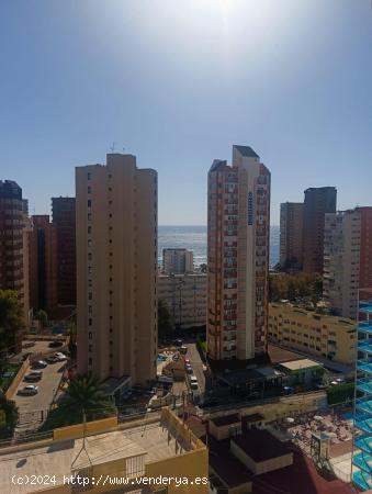  Piso en alquiler - Rincon de loix llano - ALICANTE 